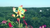Pinwheel of rainbow colors among the balcony petunia flowers against...