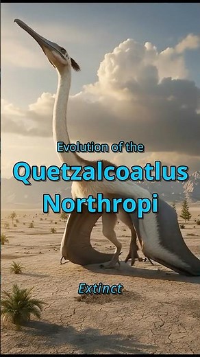 🦅 468 Million Years: From Fish to Quetzalcoatlus northropi | Evolution Explained