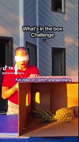 What's Inside the Box Challenge: Funny Family Moments