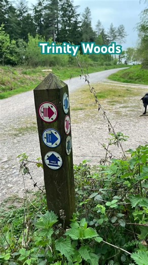 Oak and I spent yesterday afternoon exploring the beautiful Trinity Woods near Axminster. 🌲🐾