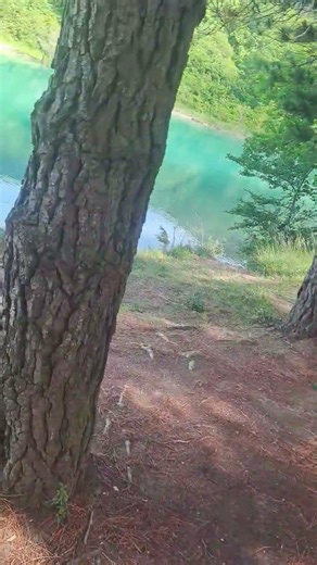 lago di garda