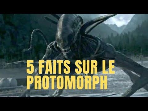 5 FAITS ETONNANTS SUR LE PROTOMORPH (PRAETOMORPH)