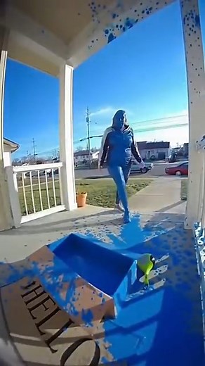 217K views · 17K reactions |  ROBBERY FAILED! "Karen Dog Lover" Gets Soaked in Blue Paint and RUINS Her Expensive Clothes  #truestory #storytime #story #usa #fyp #foryou #foryoupage #fblifestyle | Platform Pods | Facebook
