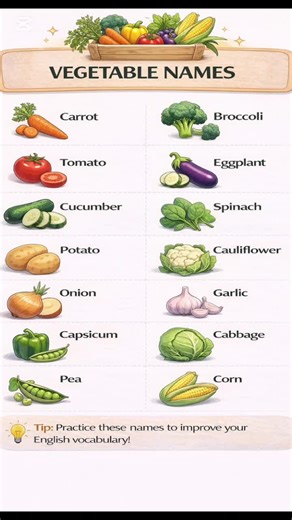 Learn Vegetable Names in English | Basic English Vocabulary 🥕🥦 #learnenglish #dailyenglish #foryoupage #viralvideo #fypシ