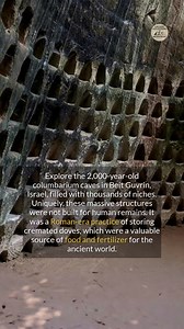 These 2,000-year-old caves in Israel were not tombs but ancient dove factories. | Ancient Civilizations and Archaeology