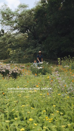 Built for exploring. Discovery is made for everyday adventure. | Land Rover Discovery