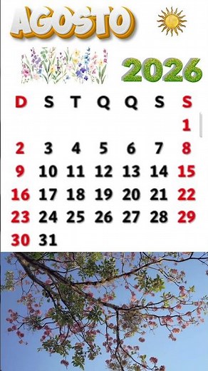 CALENDÁRIO DE AGOSTO DE 2026 #shorts