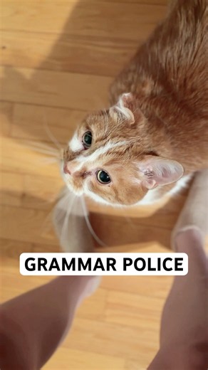 Bean vs. The Typo ✏️🐈
