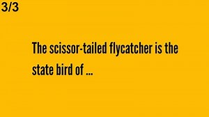 Bing Homepage Quiz Answers Today (28-03-2025) | Microsoft Rewards