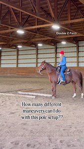 10 ground pole exercises with just one pole setup! What exercises did I miss? #horses #horseriding | Double Z Farm