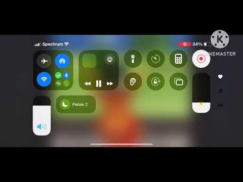 Tyrone yells at Timon and makes him cry