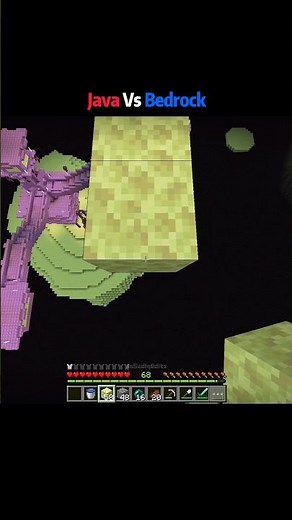 Minecraft Java Vs Bedrock Moments
