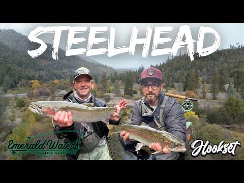 steelhead fishing on the fly Northern california float