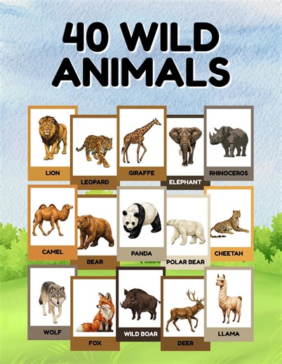 40 Wild Animals Printable Flashcards, Safari Learning Cards (digital Download) - Etsy