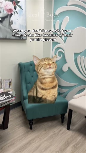 I mean… 🐱 explains everything