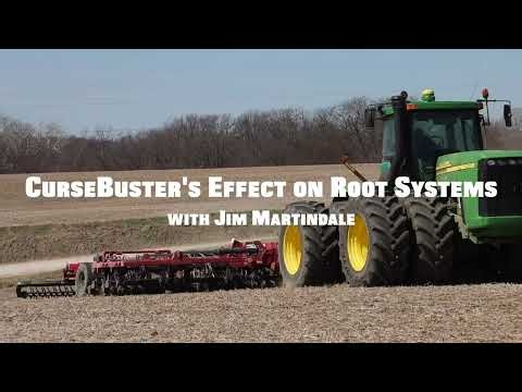 CurseBuster's Effect on Root Systems