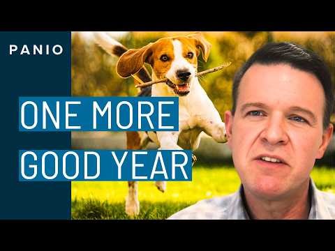 The Human-Dog Bond Explained: How It Impacts Dog Health and Longevity