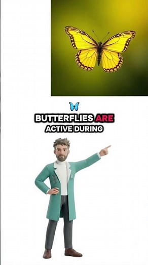 BUTTERFLY AND MOTH DIFFERENCE