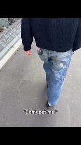 96K views · 270 reactions | Don’t pet me says this dog. Dogs communicate with aggressive behaviors, like growling, barking, lunging, or biting. They don’t have language the way we do! Aggression is often communicative, or ritualized. Respect dogs and usually it won’t escalate. #dogbehavior #reactivedog #dogaggression #petcare | Thinking Canine | Facebook