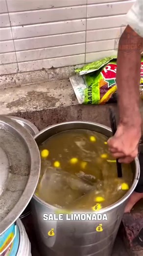 Limonada de Limón: La Creación Maestra del Maestro