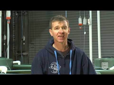 Overview of PIT tagging