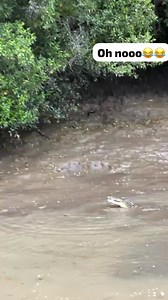 Run baby, RUN😂 | Anna Tang