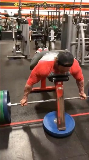 Best Back Exercise
