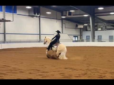 Annika Wyman- Class of 2029 - Reining Pattern - YRHA Hamburg, NY (April 2025)