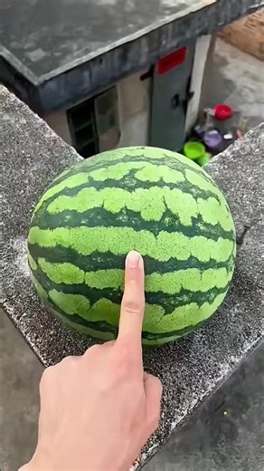 Will a watermelon explode if it rolls down from a tall building? 🍉💥 #watermelon
