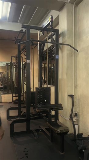 Complete Back Workout in 28 Seconds