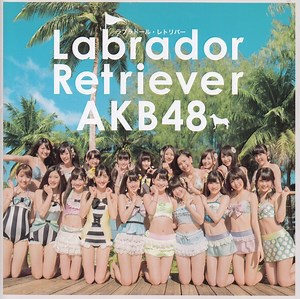 AKB48 - Labrador Retriever = ラブラドール・レトリバー