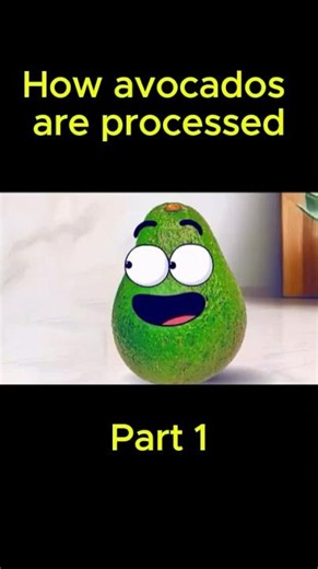 How avocados are processed part 1 | Easy Science Lessons
