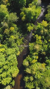 15 reactions | Wisconsin's Chequamegon-Nicolet National Forest is home to 1,200 miles of fishable streams and 600 fishable lakes. But there are still barriers. Check out our new film "Flowing Free" at the link below to see how we're make fishing better by restoring and reconnecting habitat. https://www.tu.org/magazine/conservation/restoration/trout-unlimited-presents-flowing-free/?utm_source=informz&utm_medium=email&utm_campaign=none&_zs=570hb&_zl=sPsP3 | Trout Unlimited | Facebook