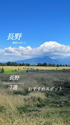 長野県おすすめ絶景スポット7選✨
