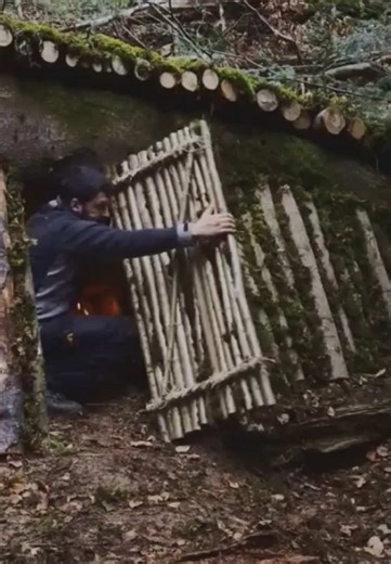 🪓Build the cozy cabin in the forest | Survival alone 🏚️ #survival #bushcraft #cabin #treehouse #wildlife