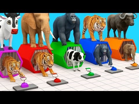 Animal Button Challenge | Tiger vs Cow vs Elephant vs Gorilla | Funny 3D Animal Game