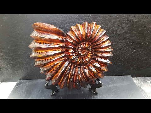 power carving an ammonite shell