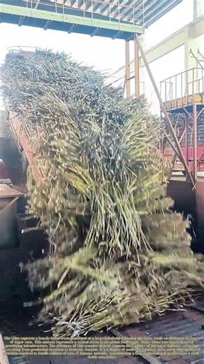 Unloading Sweetness: The Industrial Ballet of Sugar Cane