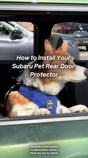 Protect Your Car Doors with the Pet Rear Door Protector
