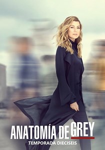 Anatomía de Grey temporada 16 - Ver episodios online