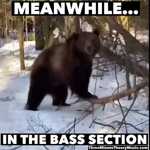 Funny Choir Meme - Meanwhile, In The Bass Section...