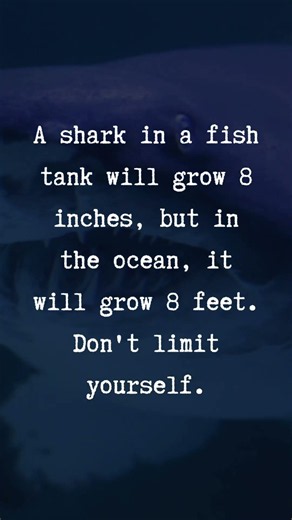 Don't limit yourself #zenithwisdom #motivation #quotes