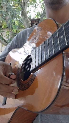 Law Neto Viola no TikTok