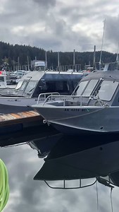 Consider it grabbed 😆 🩶🤍🩶🖤💙 Love our small, boutique style boats, specially designed for the local, personalized whale watching experience ♥️ In order; Merlin, Alaskan Girl, Island Girl, Salty Girl & Glacier Girl 🤩 #alaska #juneau #boats #whalewatching #local | Jayleen's Alaska