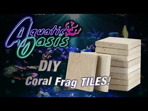 DIY Coral Frag Tiles! How to Make Your Own!