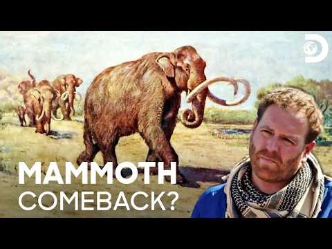 The DNA That Could Revive Mammoths! | Expedition Unknown S3 E6 | Discovery Channel India