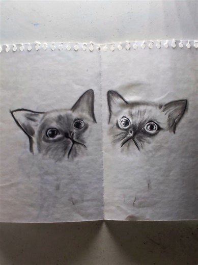 How to Draw a Cat with Thread