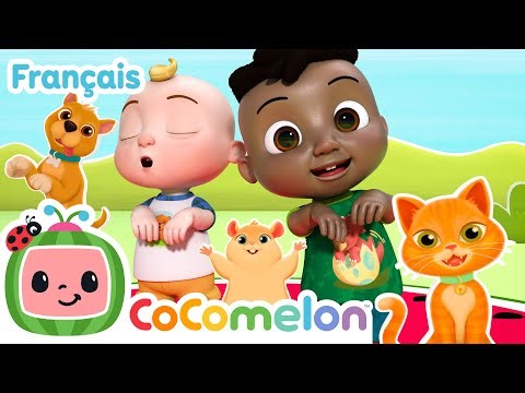 La chanson des animaux | Faire Danser Bébé | CoComelon en Français | Chansons pour bébés