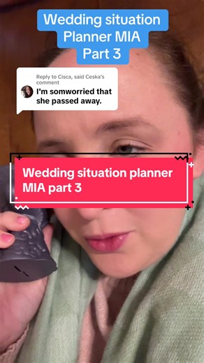 Wedding Drama: Where Is My Planner?