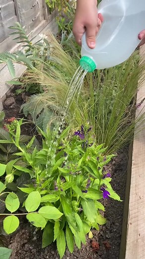 DIY Milk Carton Watering Can Craft for Kids